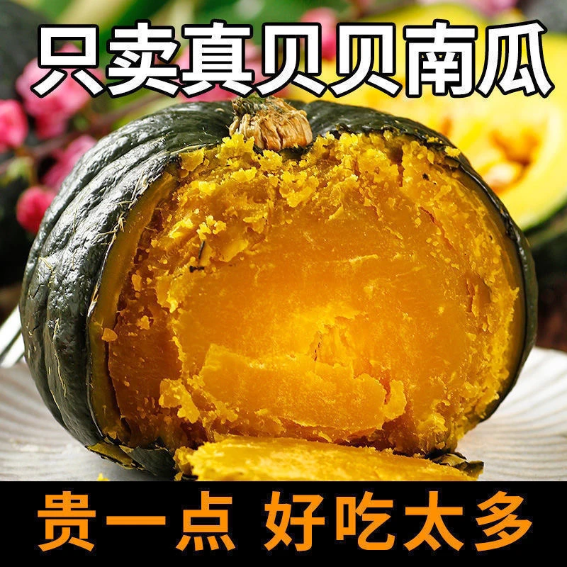 正宗板栗味贝贝南瓜粉糯香甜新鲜采摘可作粗粮代餐