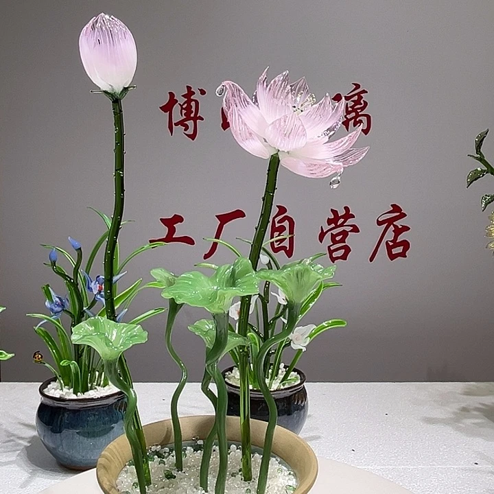 琉璃琉璃荷花11111
