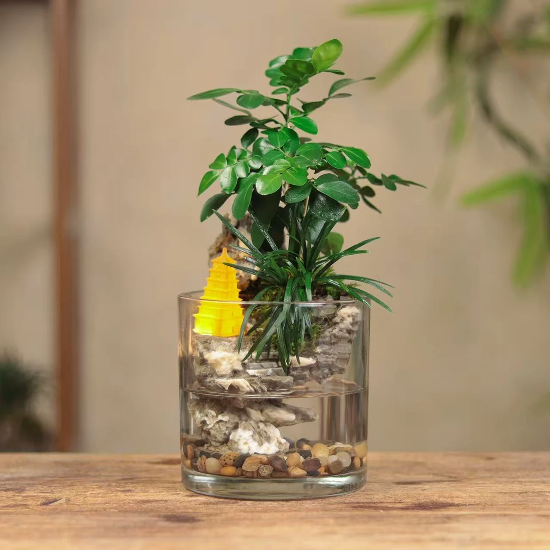 [光之塔·壹]九里香创意绿植苔藓室内国风禅意摆件带灯鱼缸12*12cm