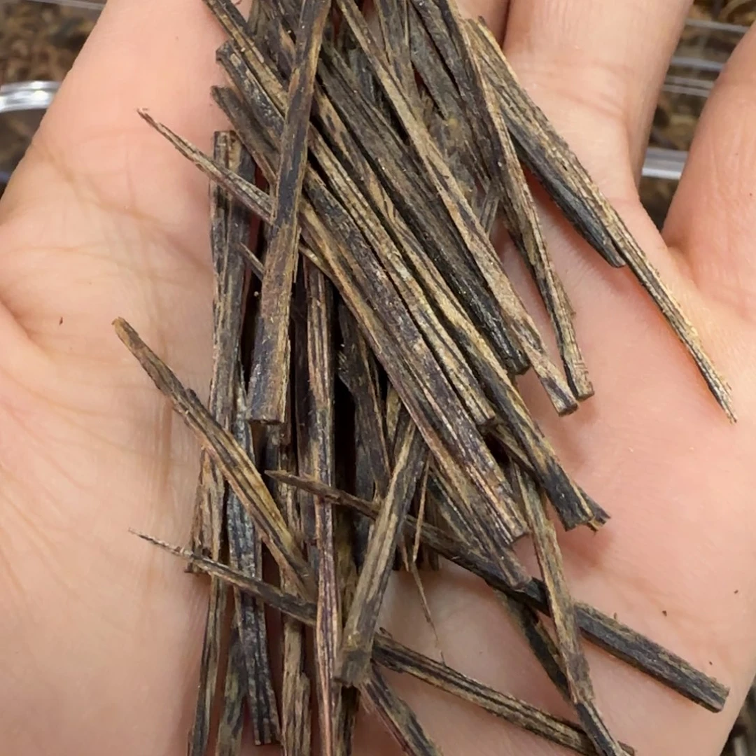 沉香木摆件涛海南棋楠沉水虫漏香条20克