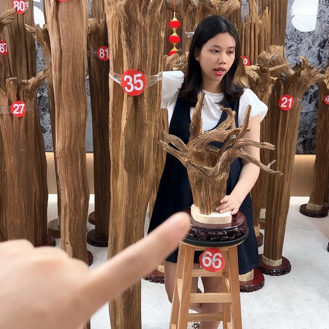 郑***球沉香沉香碎屑天然沉香