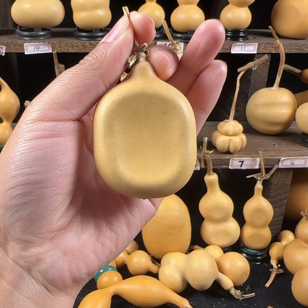 A***_葫芦葫芦葫芦葫芦葫芦