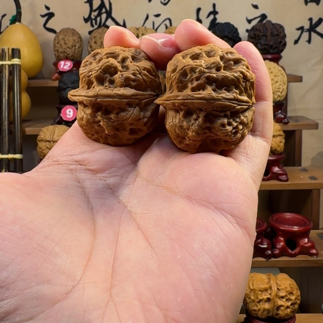 铁核桃把件老树籽鬼虎金蟾