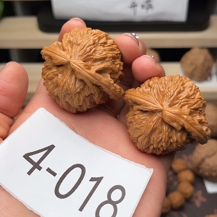 核桃41白狮子4018