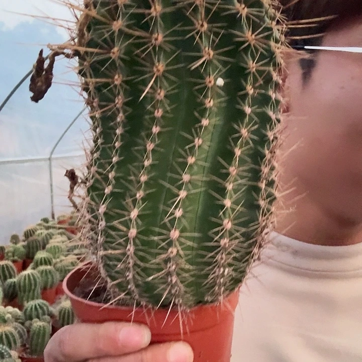 户***哥无花朵彩草哈哈哈哈哈哈哈