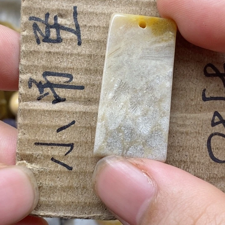 颈饰未镶嵌硅化珊瑚(珊瑚玉)小*苗