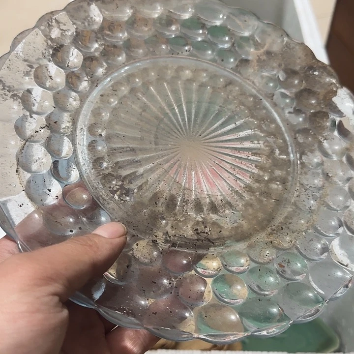 橄榄核其他孑*Cgfhggggvggg