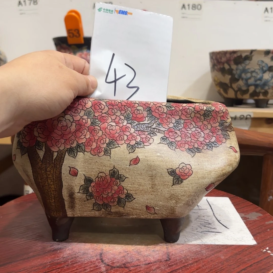 猫****哈哈哈哈哈哈哈哈哈哈