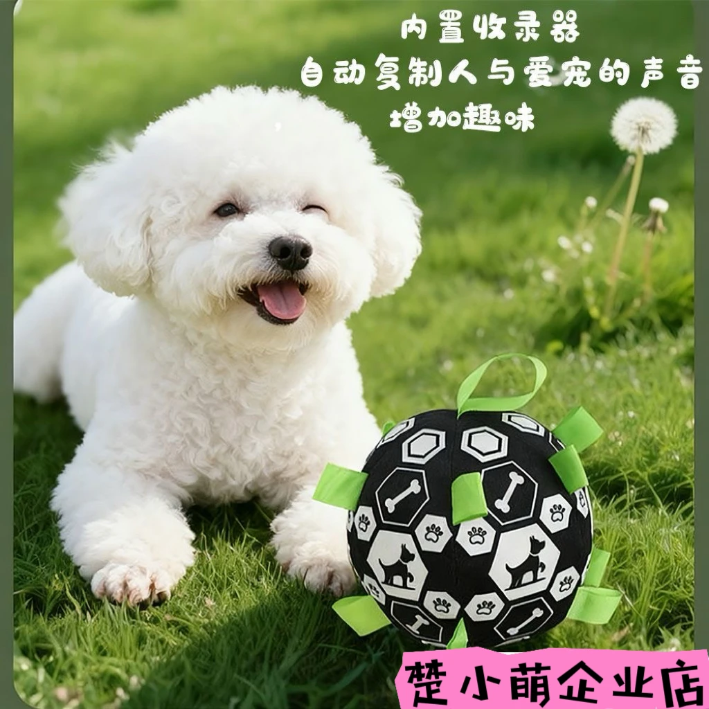 臻选狗狗玩具狗足球户外人宠互动解闷球柯基金毛泰迪宠物用品