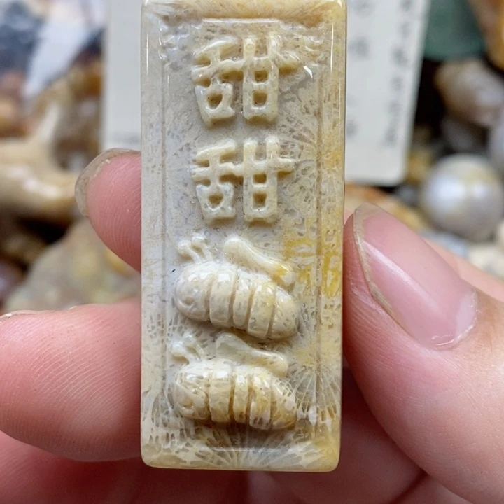 硅化珊瑚（珊瑚玉）未镶嵌颈饰