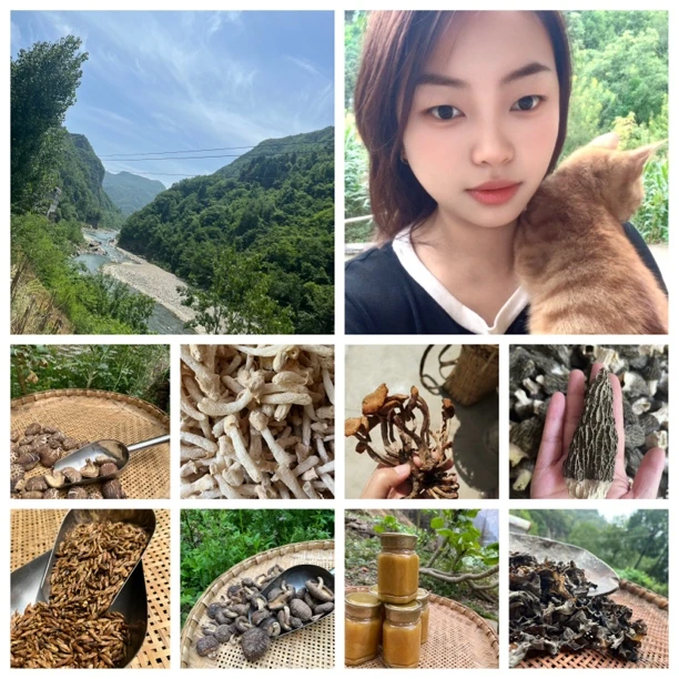 青川高山竹荪 黑木耳 羊肚菌 干货组合可选青川直发 煲汤鲜香食材