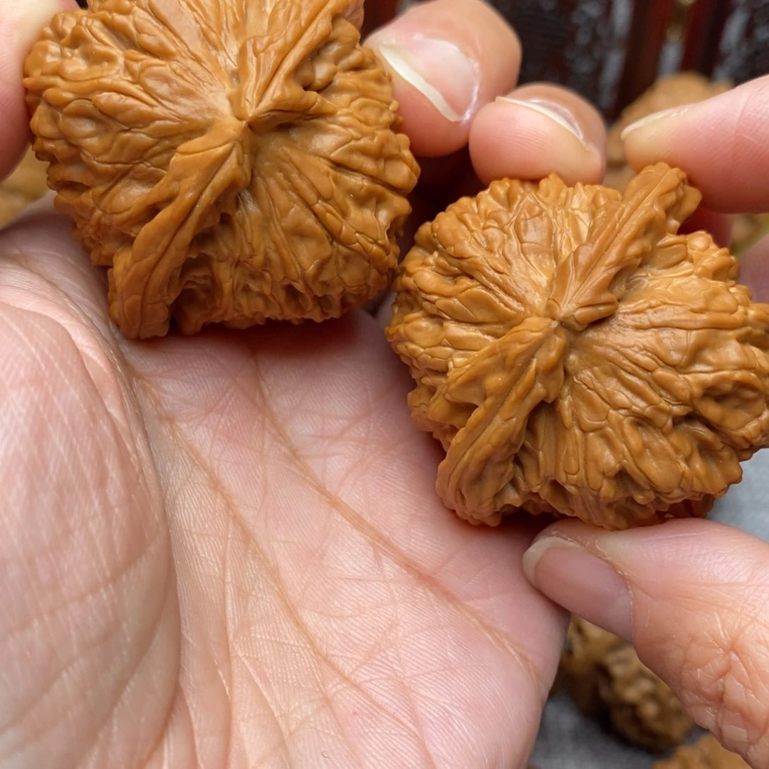 文玩核桃把件好**连全品毕业白狮子43尺