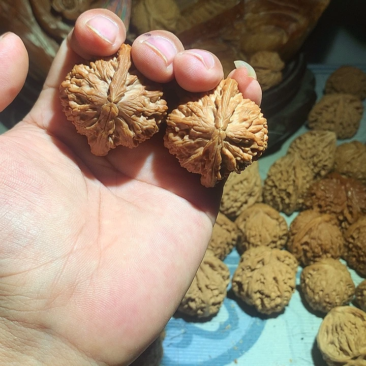 你***？把件文玩核桃白狮子