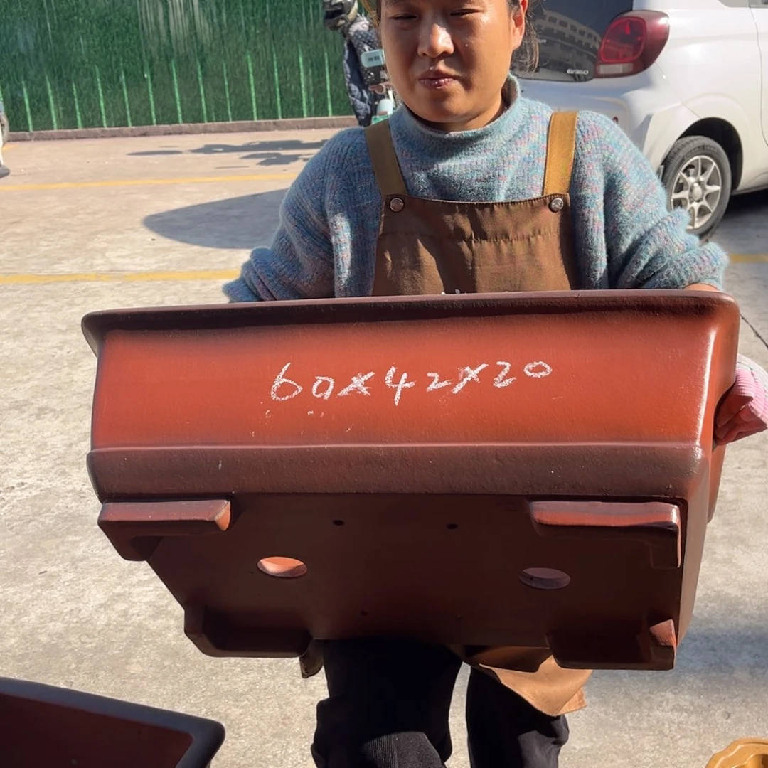 花盆紫砂盆景艺术