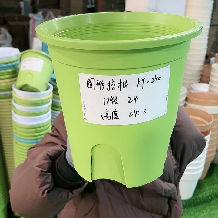 正品圆控口24高24果绿无托5只