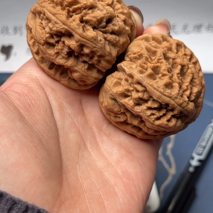 文玩核桃把件粗筋46