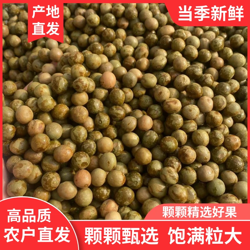 安徽霍邱正宗鸡头果二青一级中大果新鲜芡实带壳打磨不苦不涩批发