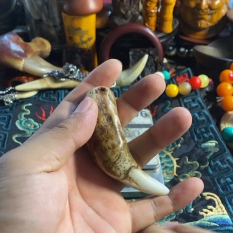 瓷片国**香寻呼台的人也太少见啦