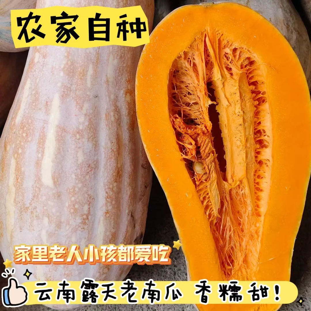 云南蜜本老农家南瓜甜糯可口适合老人孕妇宝宝食用