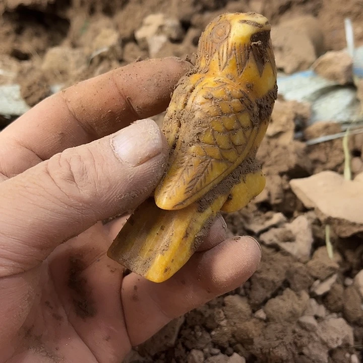 瓷片瓷器紫砂壶瓷器