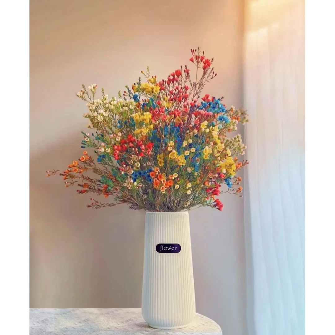 【混色+送瓶子+保鲜剂】澳洲混5色腊梅基地直发鲜花2025年