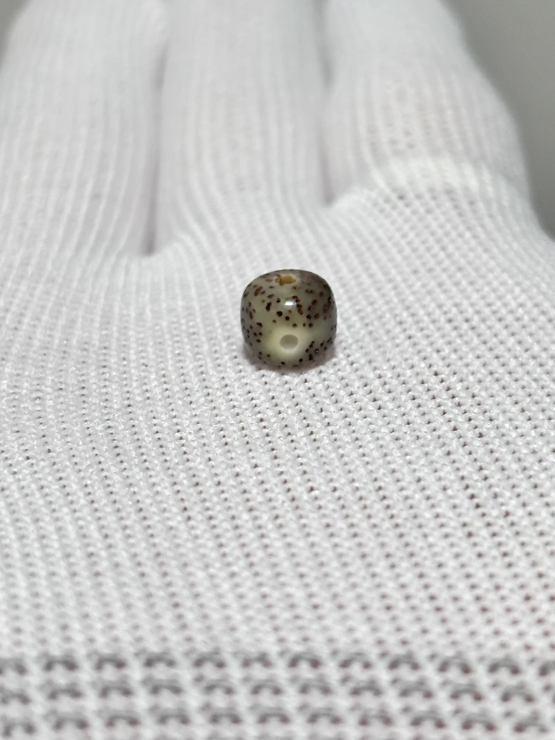 云岭-K绿色系开场8*7星月菩提-【挂车链接，直播间定制款】请勿盲拍