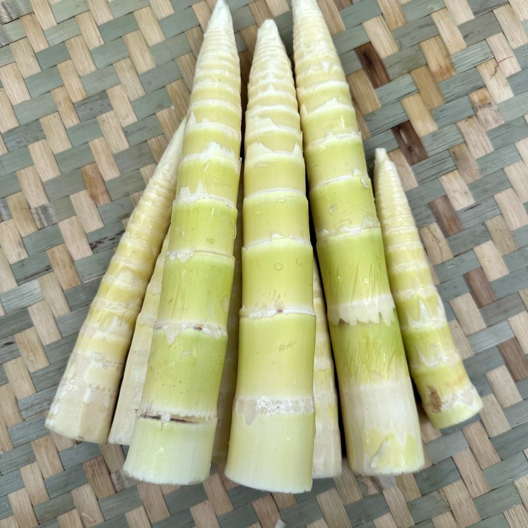 春笋笋尖水竹笋雅安竹笋当季鲜笋野生竹笋现挖焯水发货