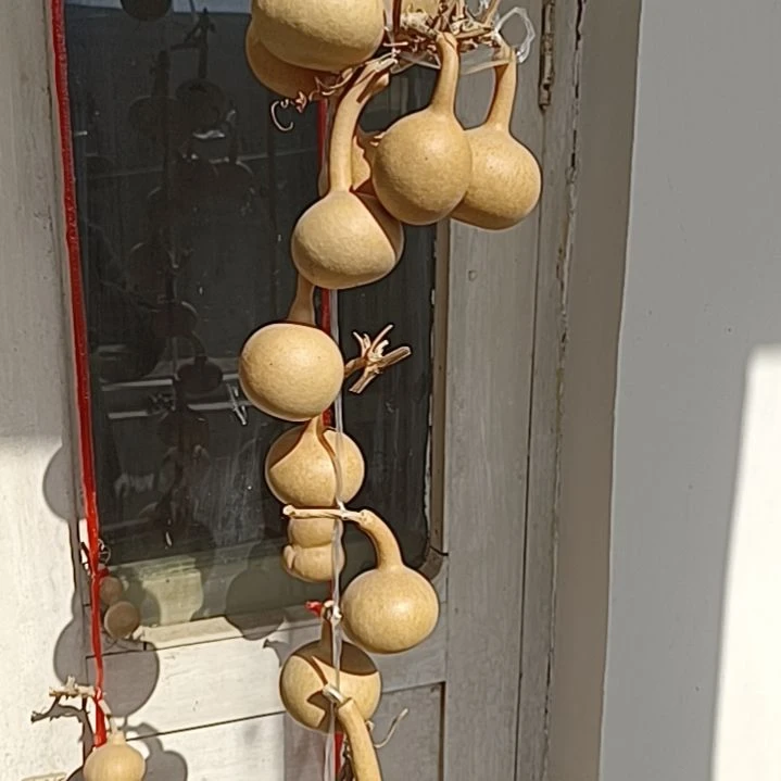 我**智二十个独把全品无瑕厚皮葫芦