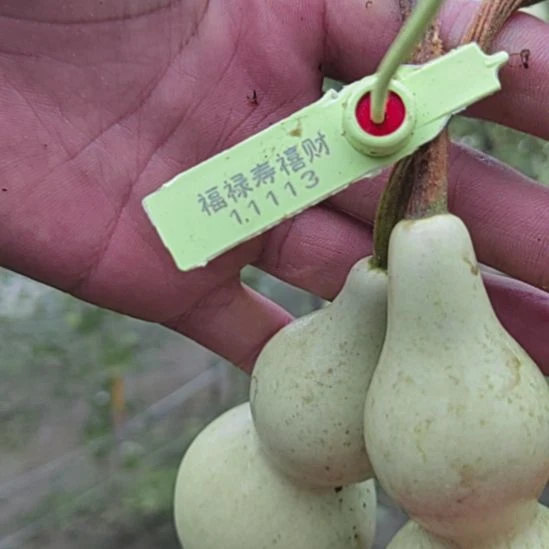 手把件小葫芦不退退还