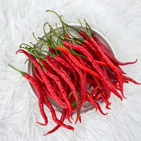 湖南新鲜红线椒辣椒500克