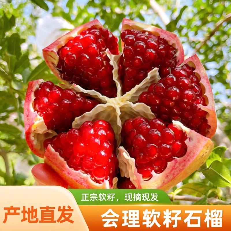 【坏果包赔】四川会理突尼斯软籽石榴皮薄爆汁不吐籽新鲜产地直发
