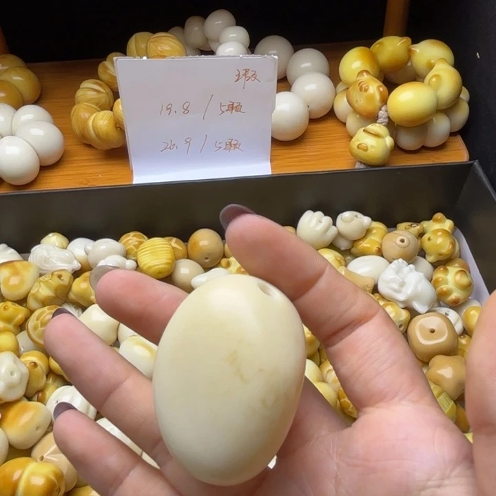 七***。吊坠菩提根/象牙果