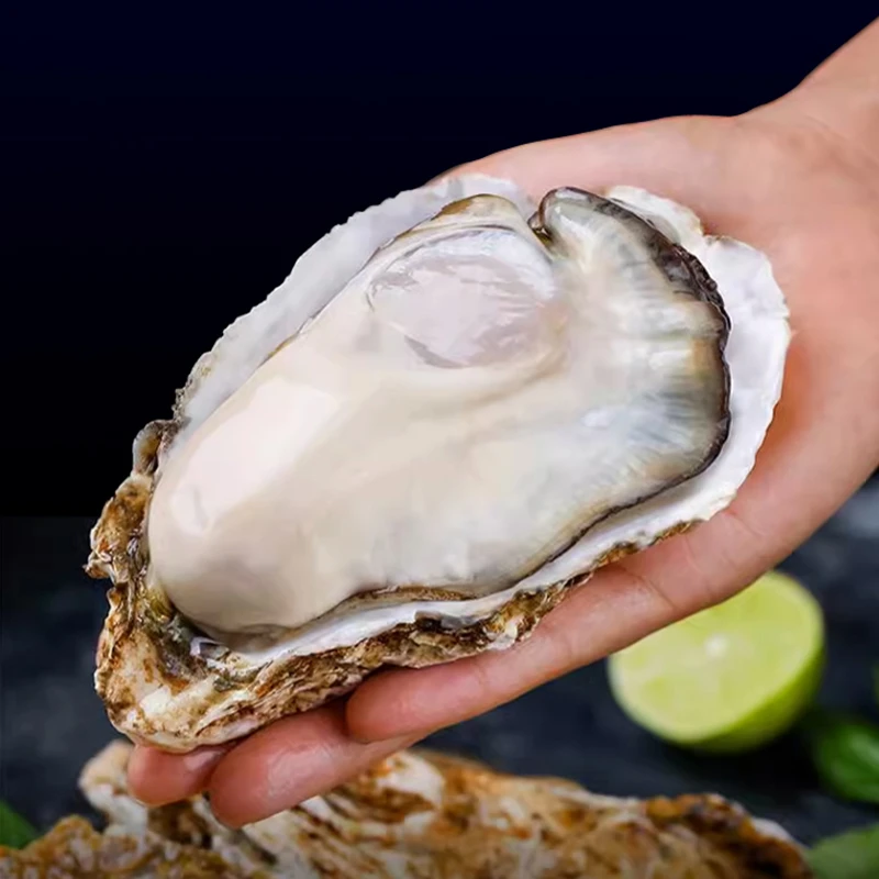 乳山生蚝一箱净重9斤以上包活包鲜冷链发货