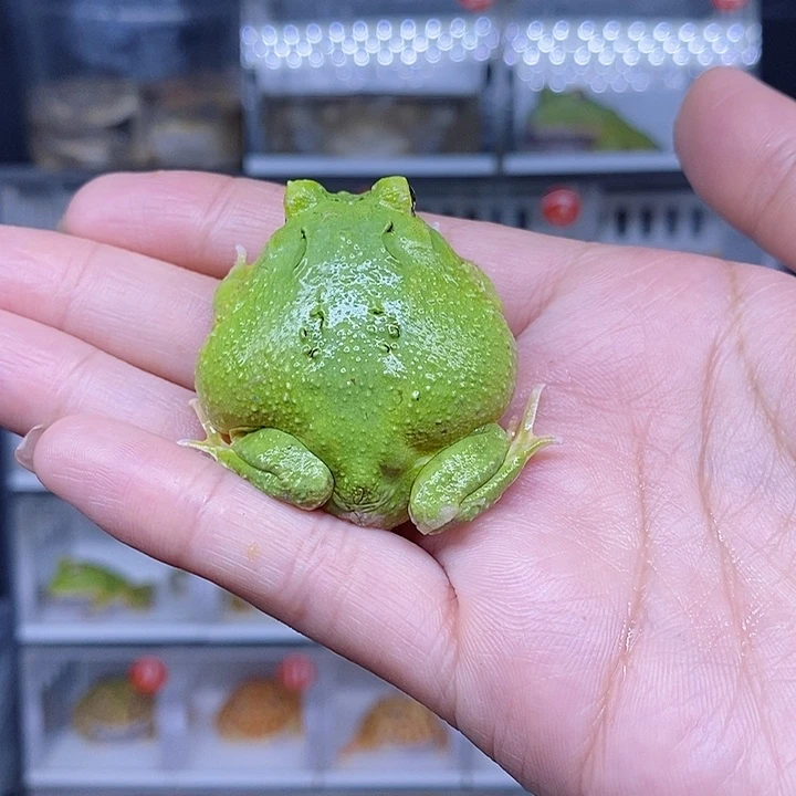 特价秒杀现货特价残