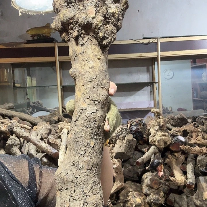 野***艾火琉璃的故事是一个
