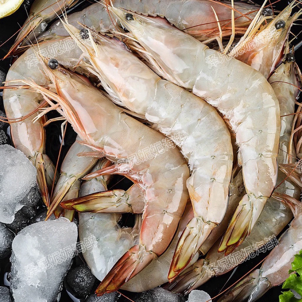 【泽兄妮妮精选】汕尾本港野生照灯海白刺虾 白刺虾