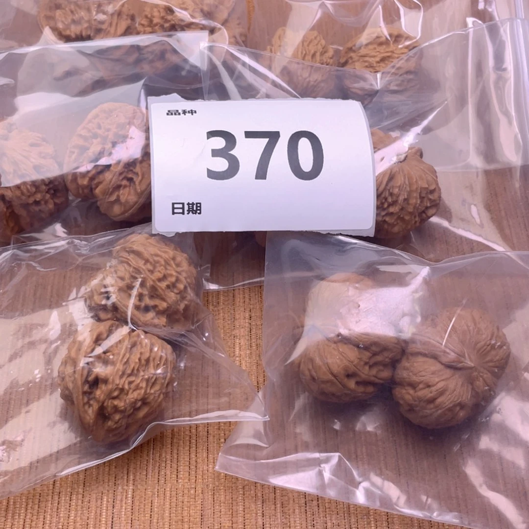 文玩核桃把件370号6对带练手元宝