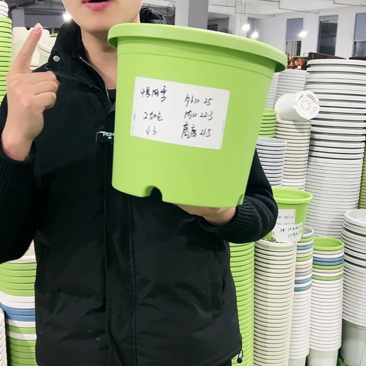 特价4号口25高21.5果绿色8只无托