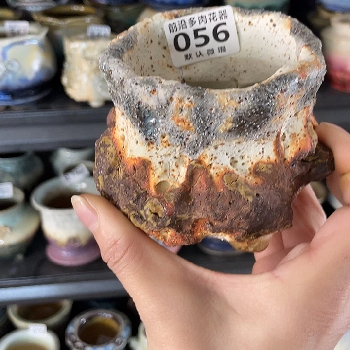 狼盆内口径7高度8