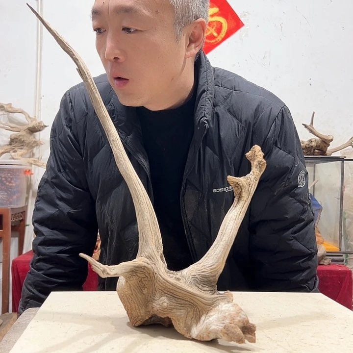 柏木千**外我们的生活也是如此的