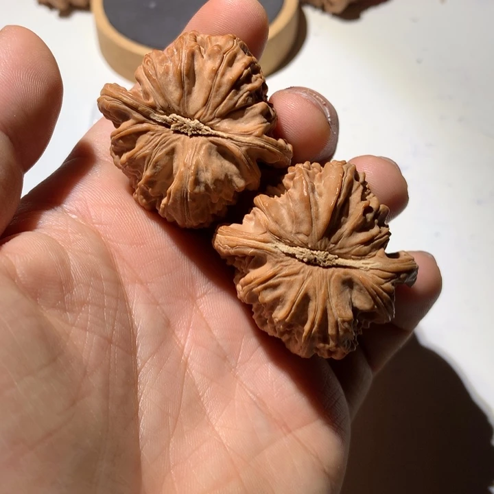 把件文玩核桃✨****✨白狮子