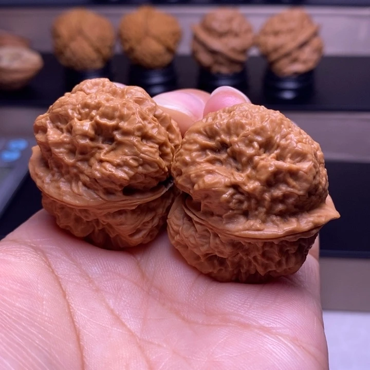 把件文玩核桃小帝王蟾79