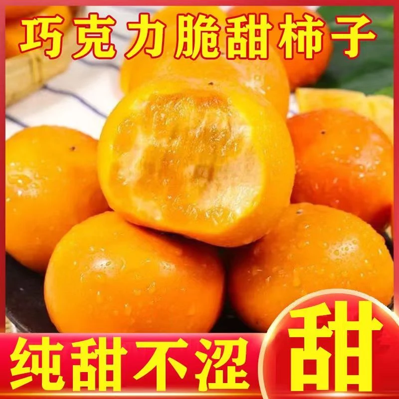 正宗阳丰脆柿子巧克力脆柿产地直发水果脆甜柿子脆甜多汁应季水果