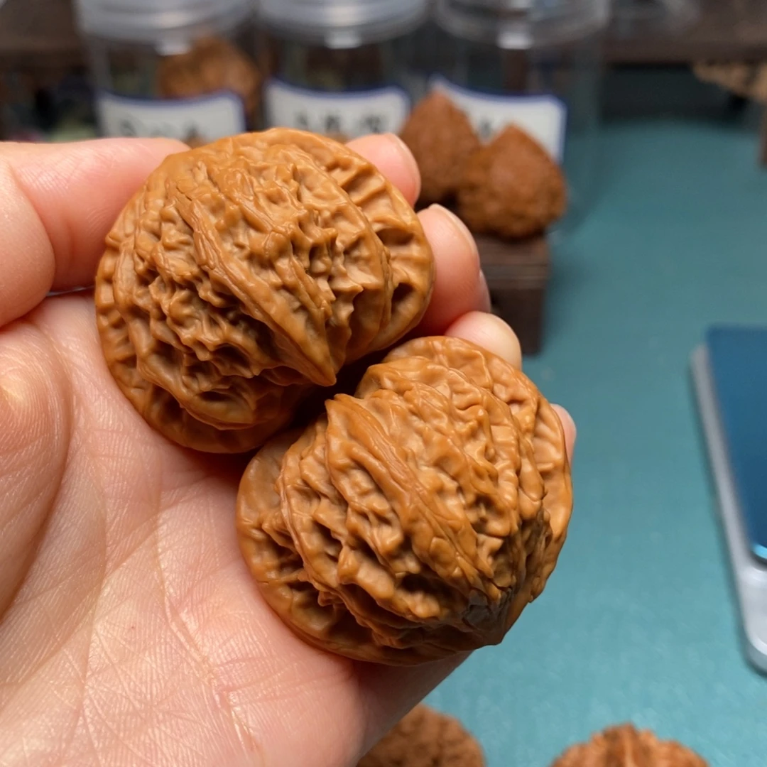 金***电核桃41尺灯笼核桃