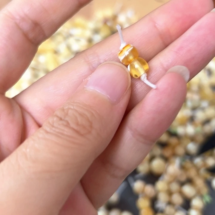 裸石蜜蜡未镶嵌6.2mm一对