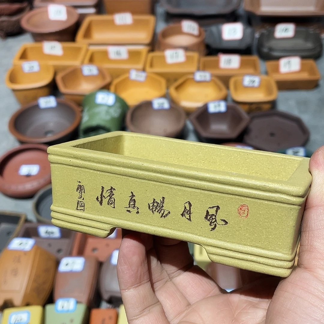 紫砂小盆10.5*5.8*2.5