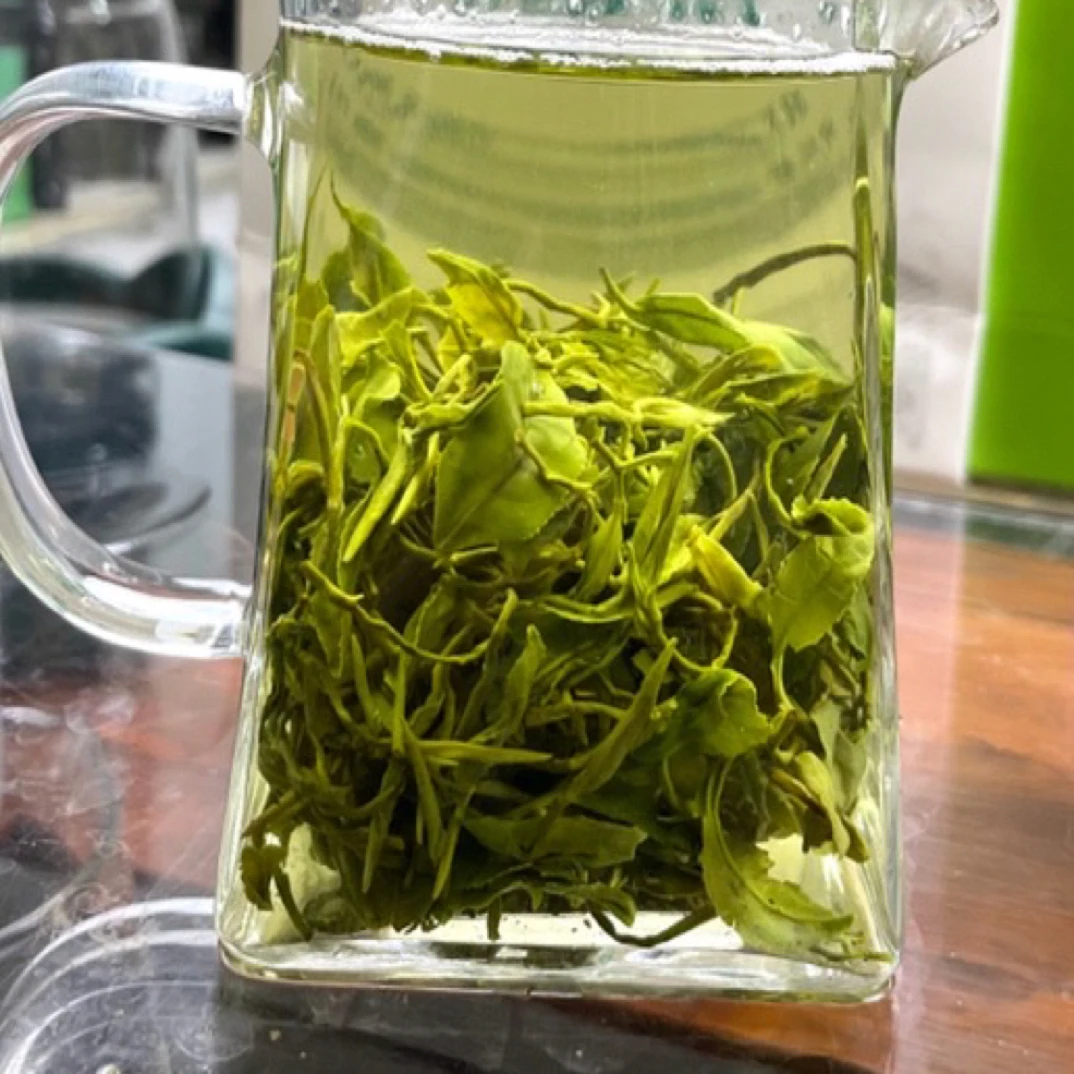 2025年日照绿茶晚秋茶板栗香浓郁耐泡 手工烘笼提香品质好茶