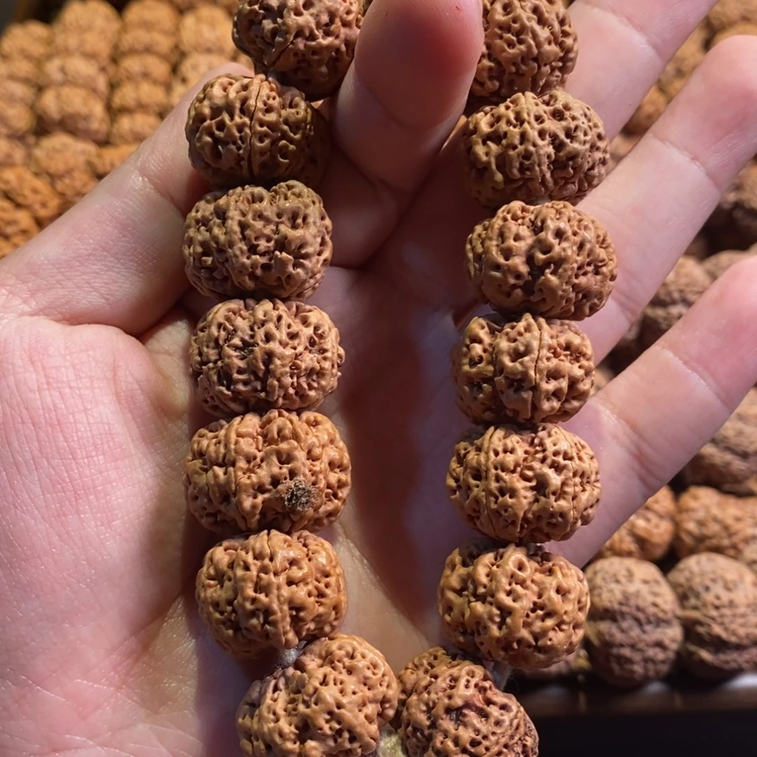 手串金刚菩提六瓣