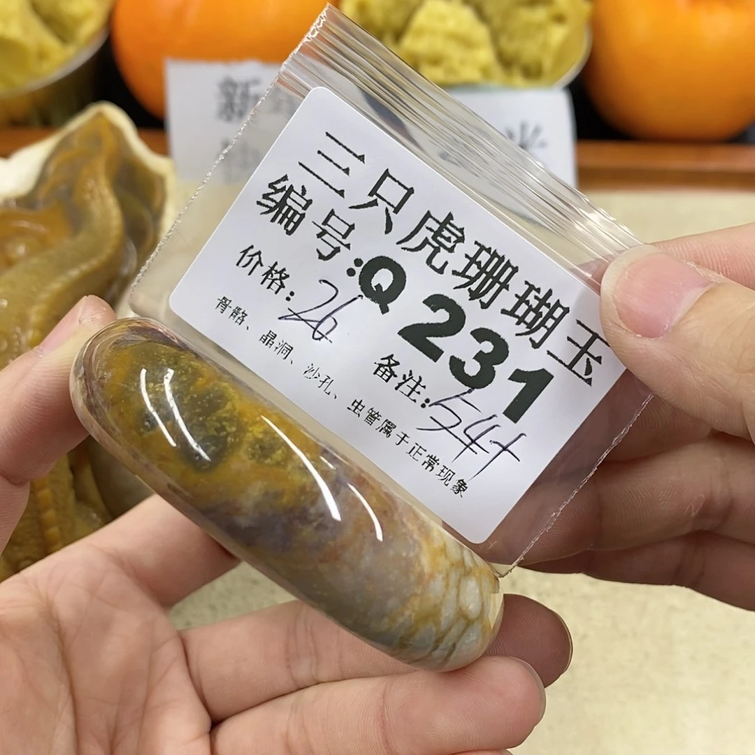 硅化珊瑚（珊瑚玉）1未镶嵌成*