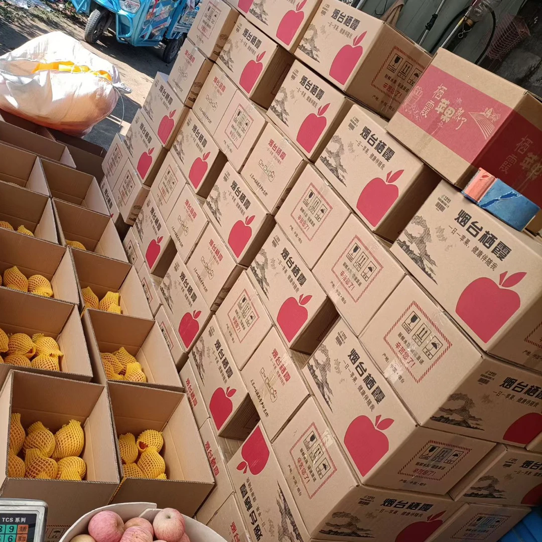 烟台栖霞产地直发红富士苹果新鲜采摘脆甜多汁应季水果